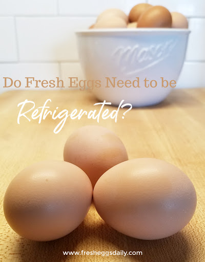 Do I Have to Refrigerate my Fresh Eggs? | Fresh Eggs Daily®