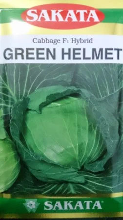 crop keras,tahan simpan,tahan pecah, tahan busuk hitam, cepat panen, Green Helmet, Sakata, Benih, Bibit, Kubis, Kubis Green Helmet