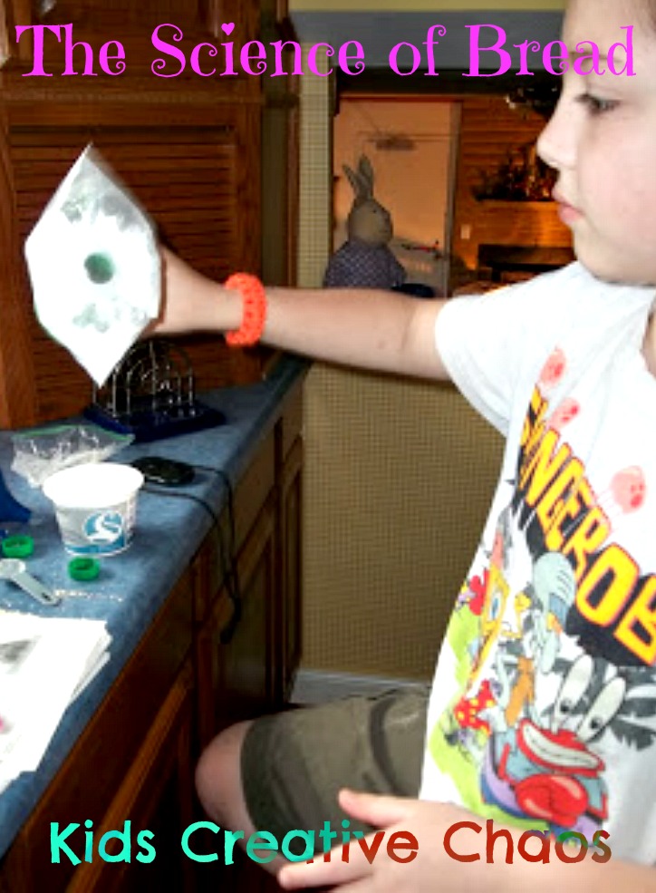 Homeschool Science Project: Bread Making Investigation - How Does