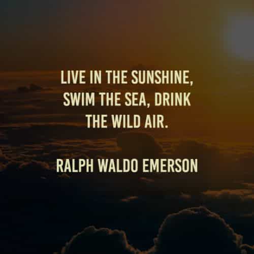 50 Summer quotes that will inspire you about summertime