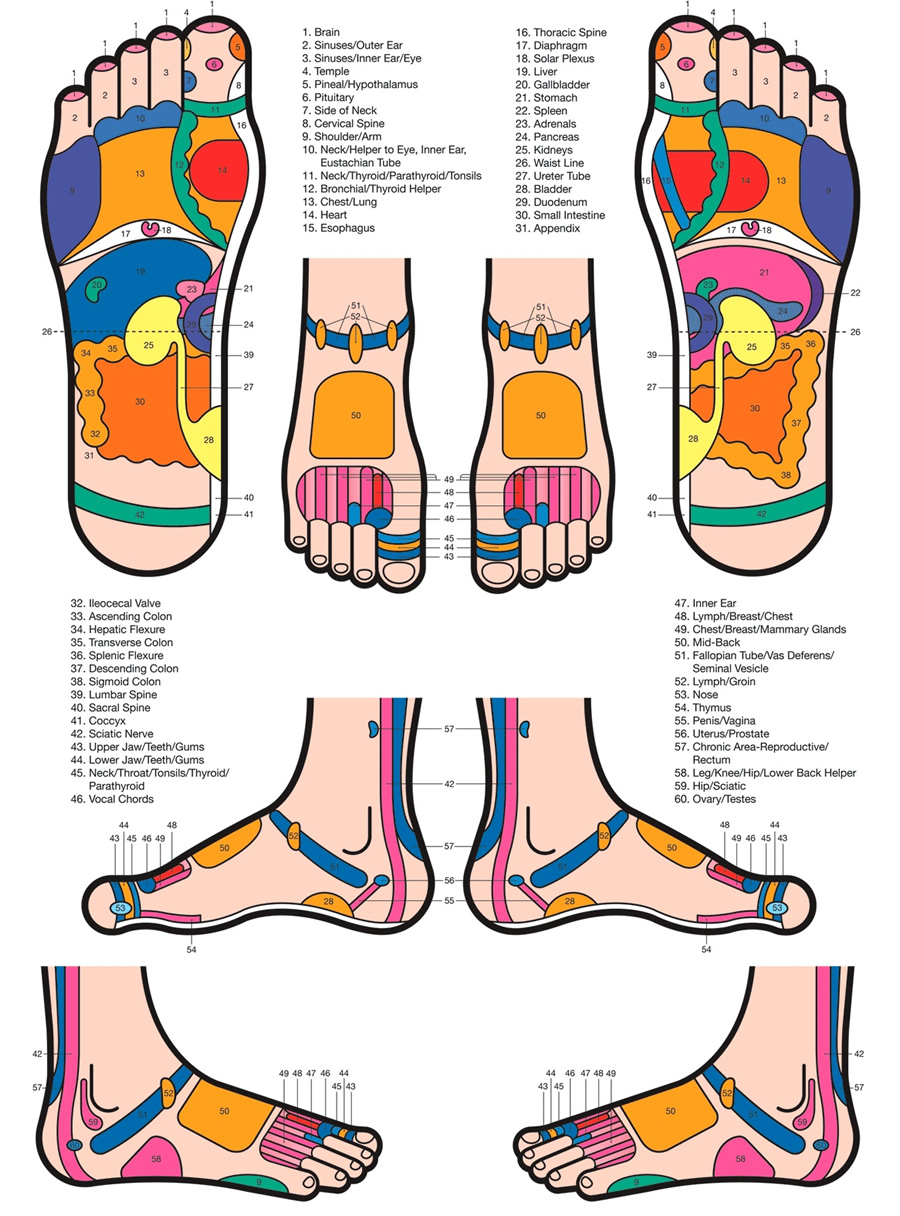 Reflexology chart