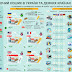 В Украине потребительская корзина выглядит очень скромно