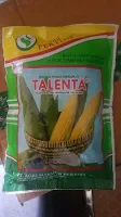 manfaat jagung manis, talenta, benih pertiwi, budidaya jagung manis, jual benih jagung, toko pertanian, toko online, lmga agro