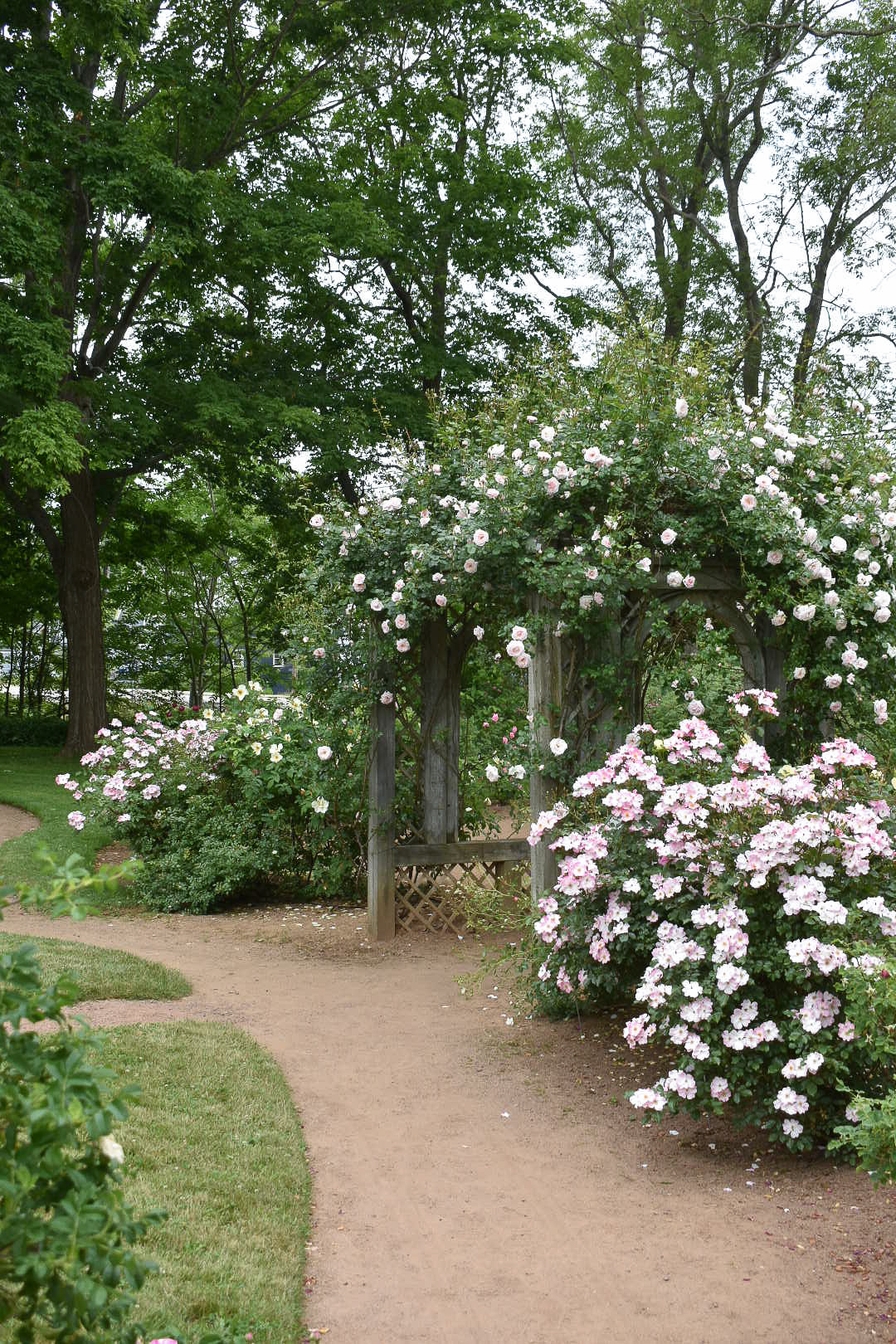 The Grower's Daughter a tour of the historic gardens of annapolis royal