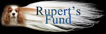 Rupert's Fund