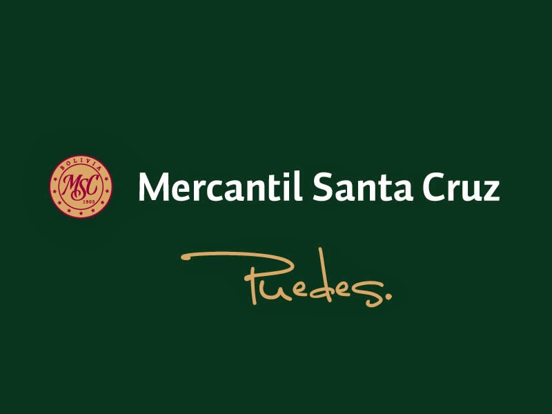 Banco Mercantil Santa Cruz S.A. Aplicación practica AREA V Modelo ACME