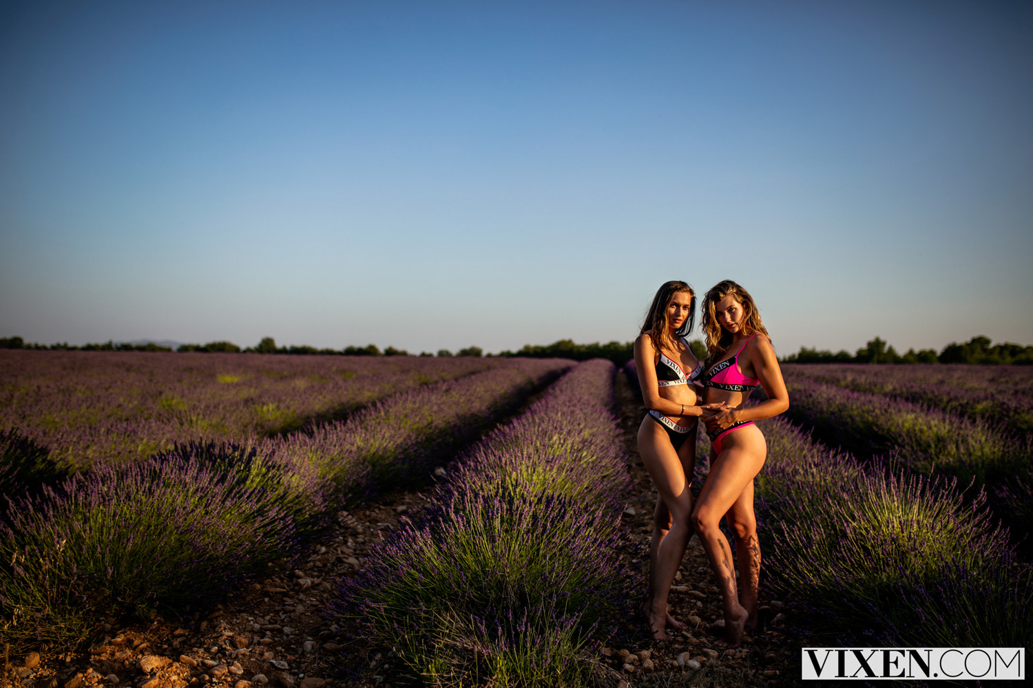 Stacy Cruz and Mia Melano Something to Look Forward to Threesome - Vixen