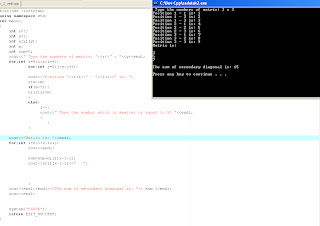 C++ Programs: Matrix 50 x 50 and secondary diagonal