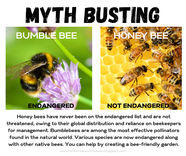 bumble bees endangered