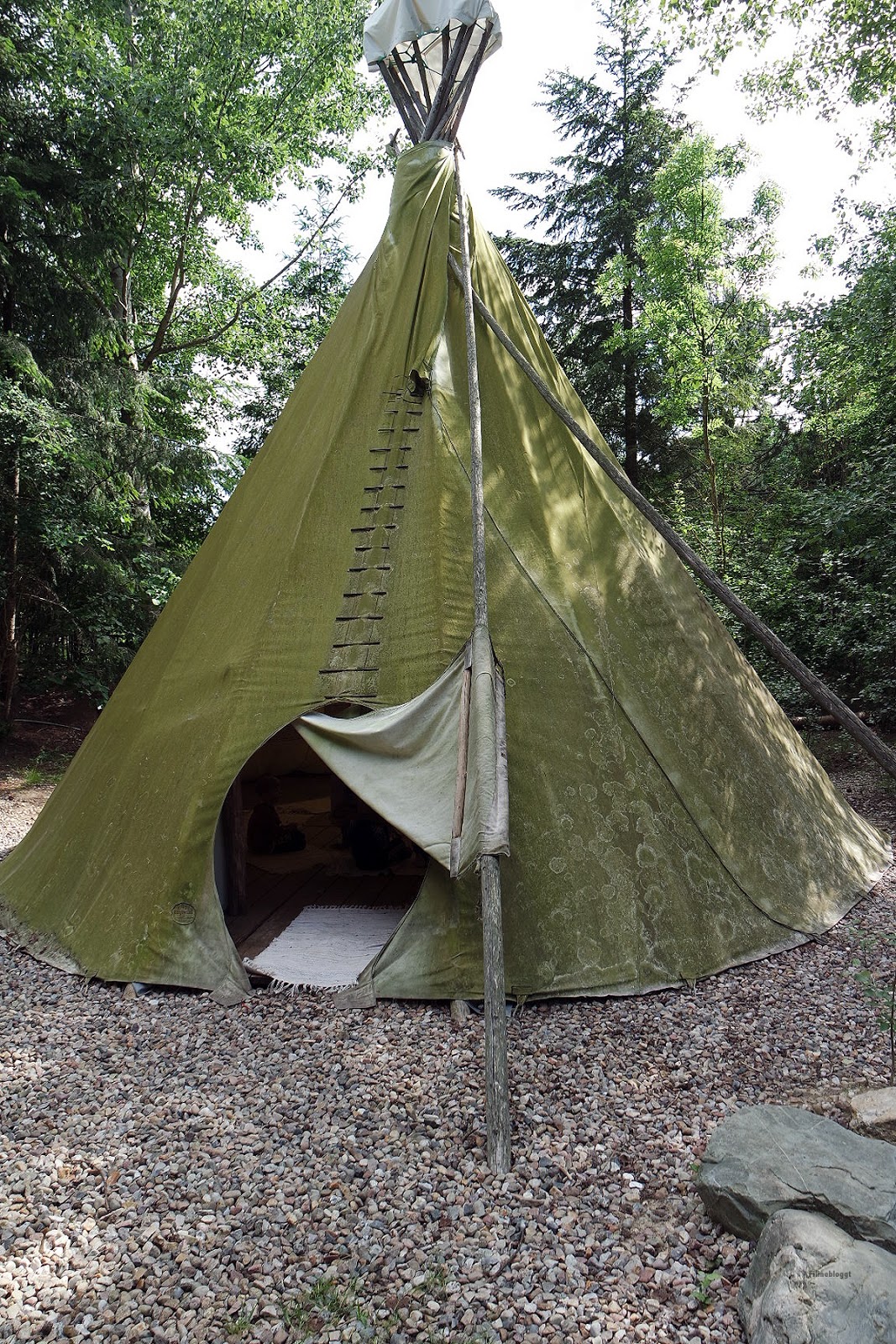 Reise Review Im Schnelldurchlauf Die Sudstaaten Und New York Mit