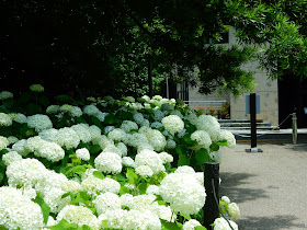 ���q���j�����𗬊ق̃A�i�x��