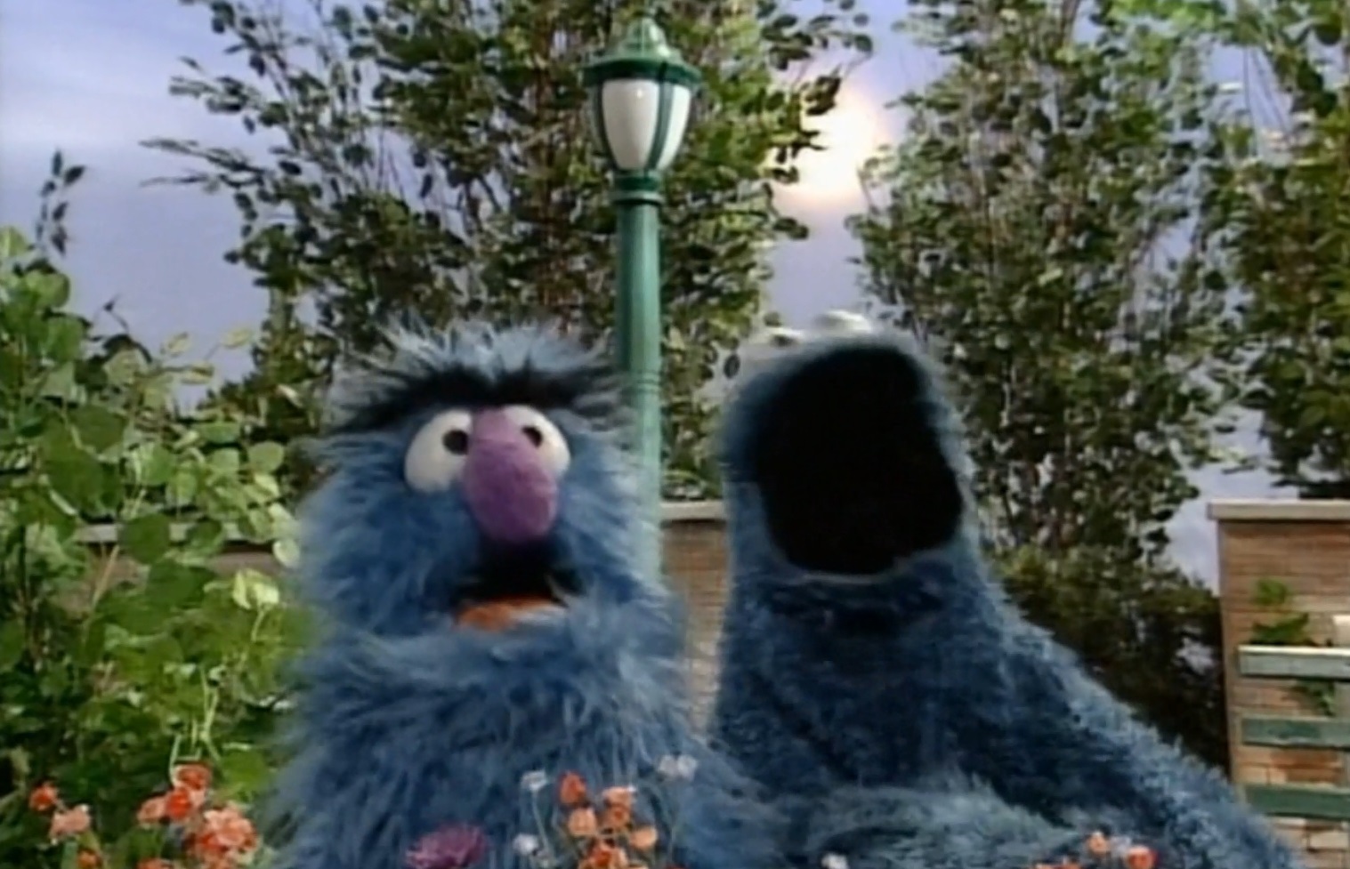 Sesame Street Guide Sesame Street C is for Cookie Monster