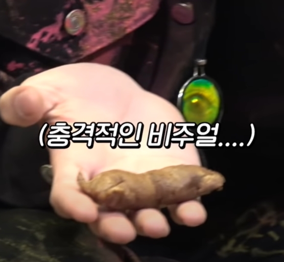 단독예능 찍고 텐션 더 난리난 울림 대표 개그멤 | 인스티즈