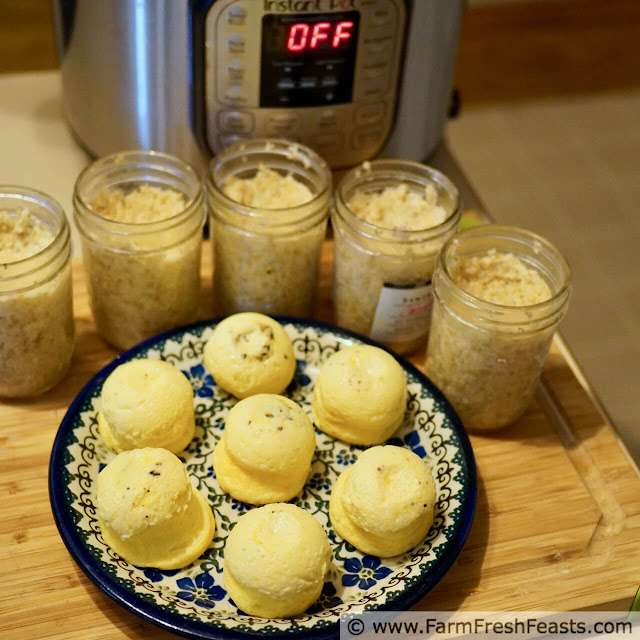 image of sous vide egg bites and individual Instant Pot steel cut oatmeal jars