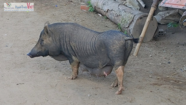 Tham quan Hồ Lak, Buôn Ma Thuột