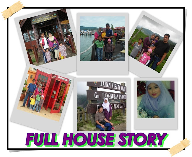 FULL HOUSE STORY