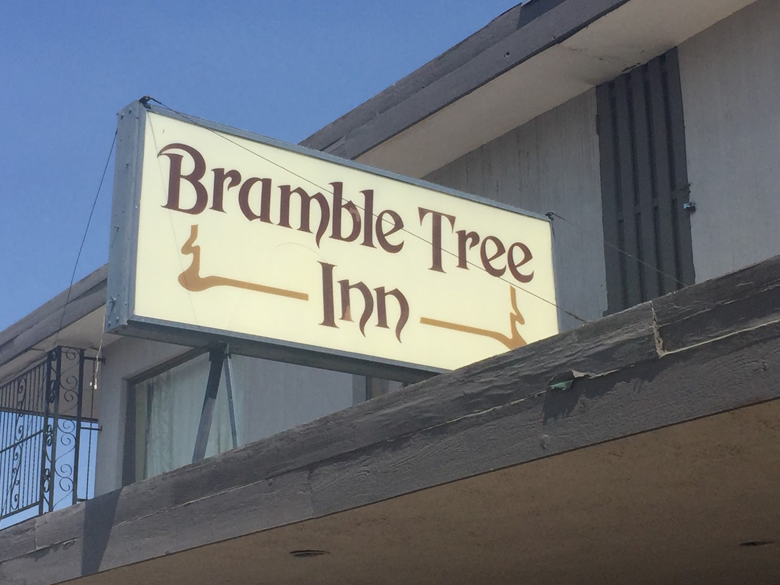 The Green Saddle Mind, Body, and a Few More Friends