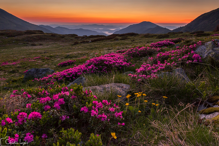 Parcul National Muntii Rodnei