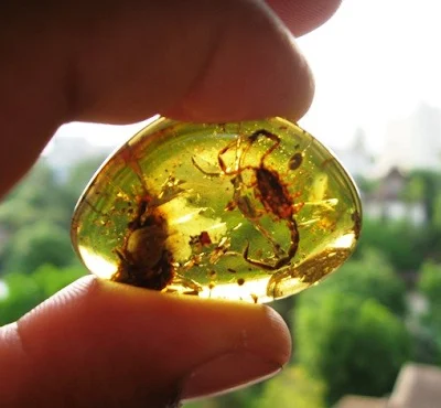 Amber : Mineral, Gemstone  Properties, Formation, Occurrence