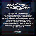 The Relay Run 1260K • 2020