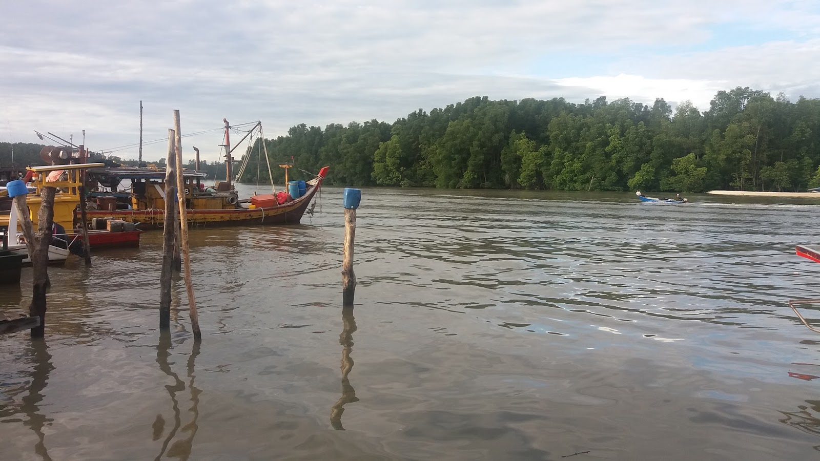 KUALA SEPETANG ECO TOURISM Matang Mangrove Forest Reserve Tour, Bird ...