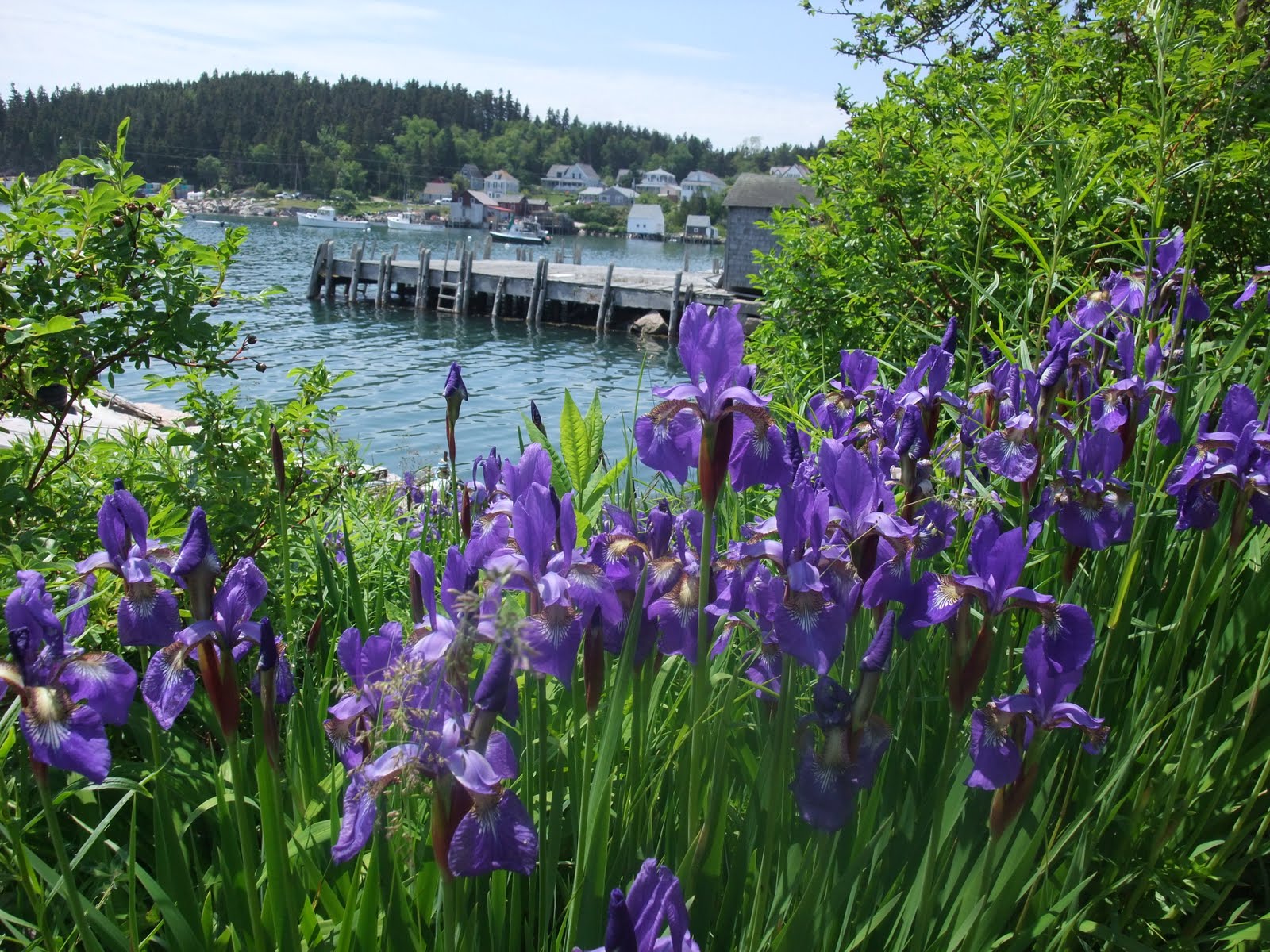 Postcards from JR and Christa Building a Boat at the WoodenBoat School