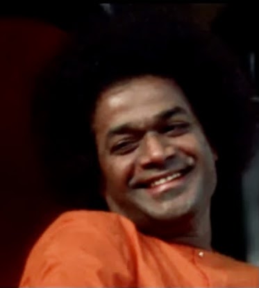 Gratitude Journal: Swami\