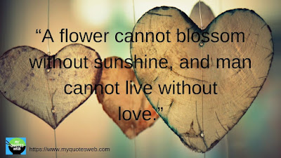 A flower cannot blossom without sunshine, | Romantic Quotes A flower cannot blossom without sunshine, | Romantic Quotes