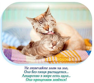 волшебный фонарик прощение