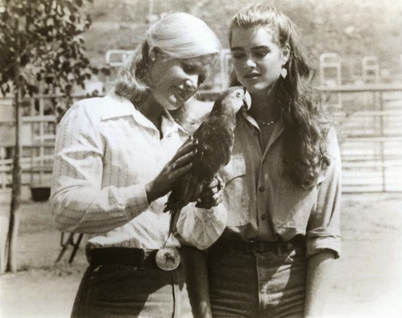 Filmovízia Brooke Shields [Galéria][5]