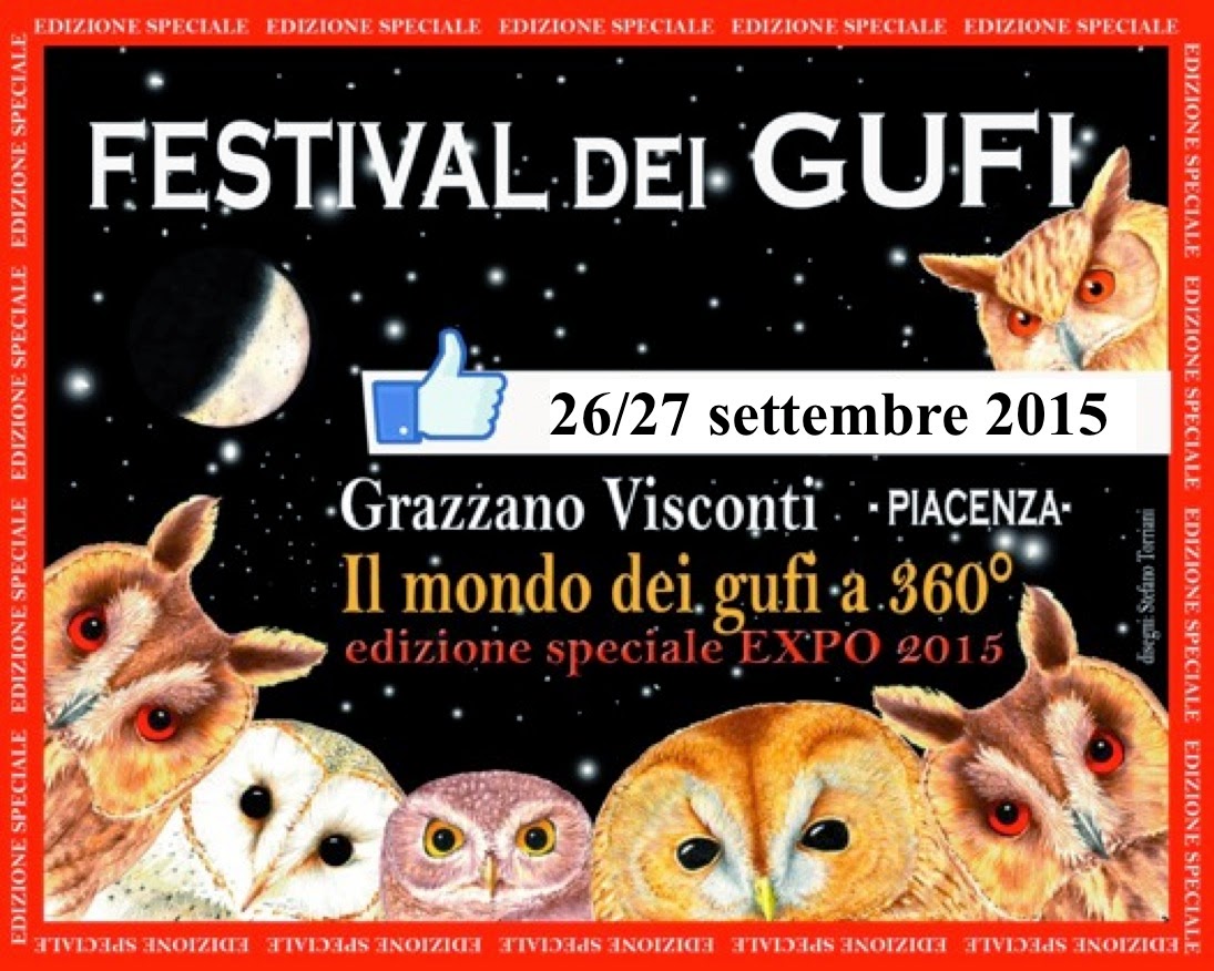 FESTIVAL DEI GUFI