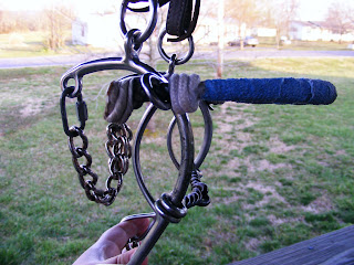 Not Another Horse Blog : Proper Bit Fit: Snaffle/Hack Combo