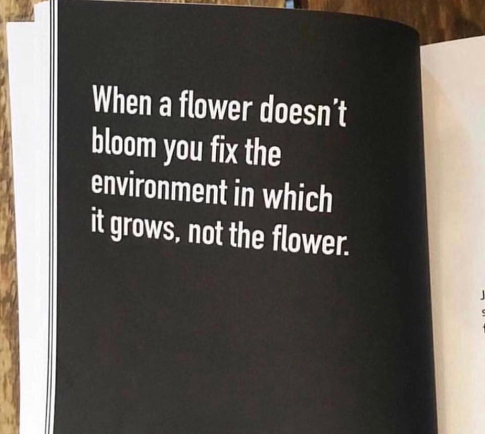 When a flower doesn't bloom you fix the environment in which it grows
