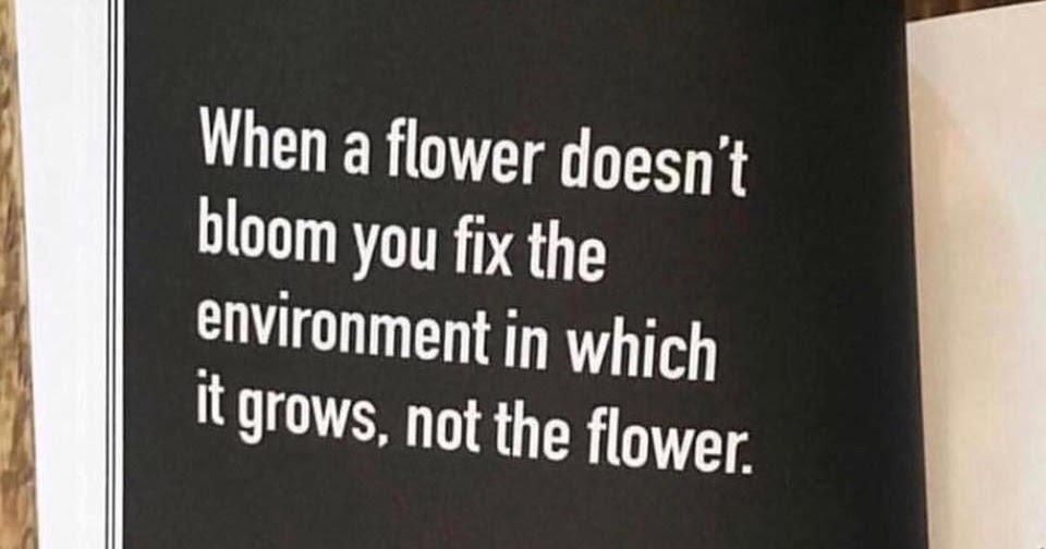 When a flower doesn't bloom you fix the environment in which it grows