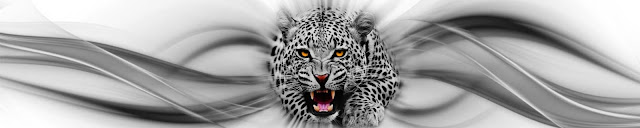 Леопард скинали