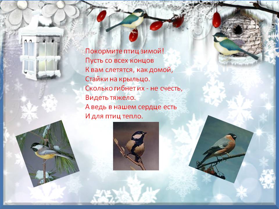 Стихотворение покормите зимой. Птицы зимой для детей. Проект Накорми птиц зимой. Проект птицы зимой. Слайд зимующие птицы.