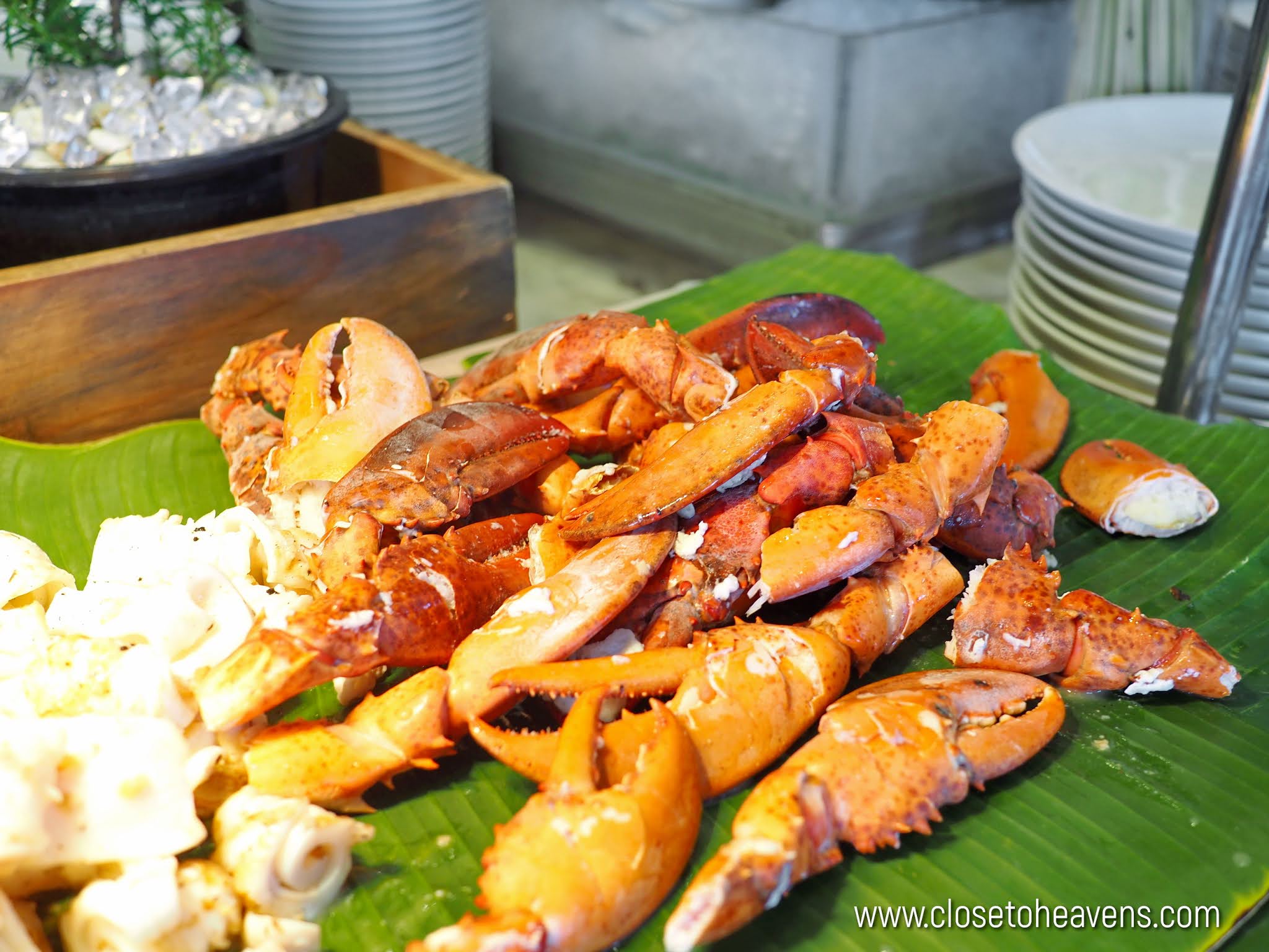 Avani+ Riverside Bangkok | Sunday Brunch Buffet