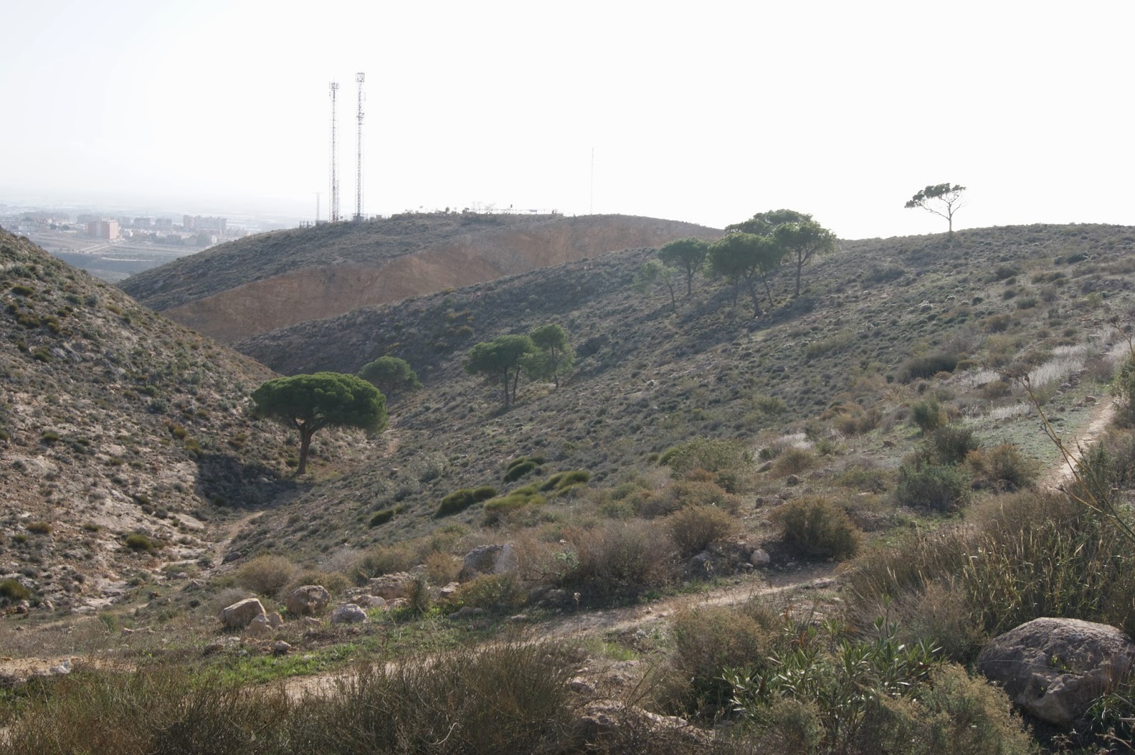 Pateando Sendas Ruta AlmeriaLa CampitaEl PocicoAlmeria (Almería)
