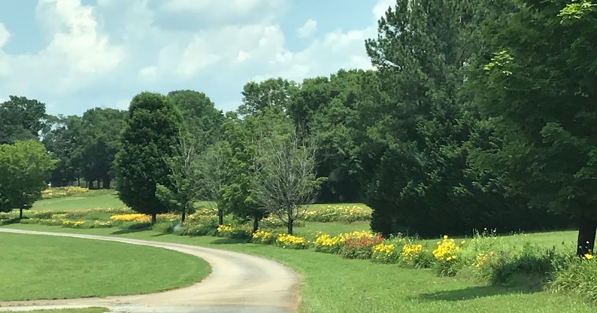The Retired Travelers A DayTrip to Richardson's Daylily Farm