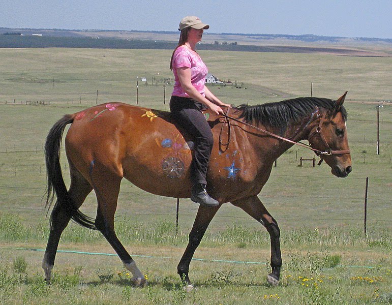Healing Hearts with Horses Do Horses Hold Your Energy Code?