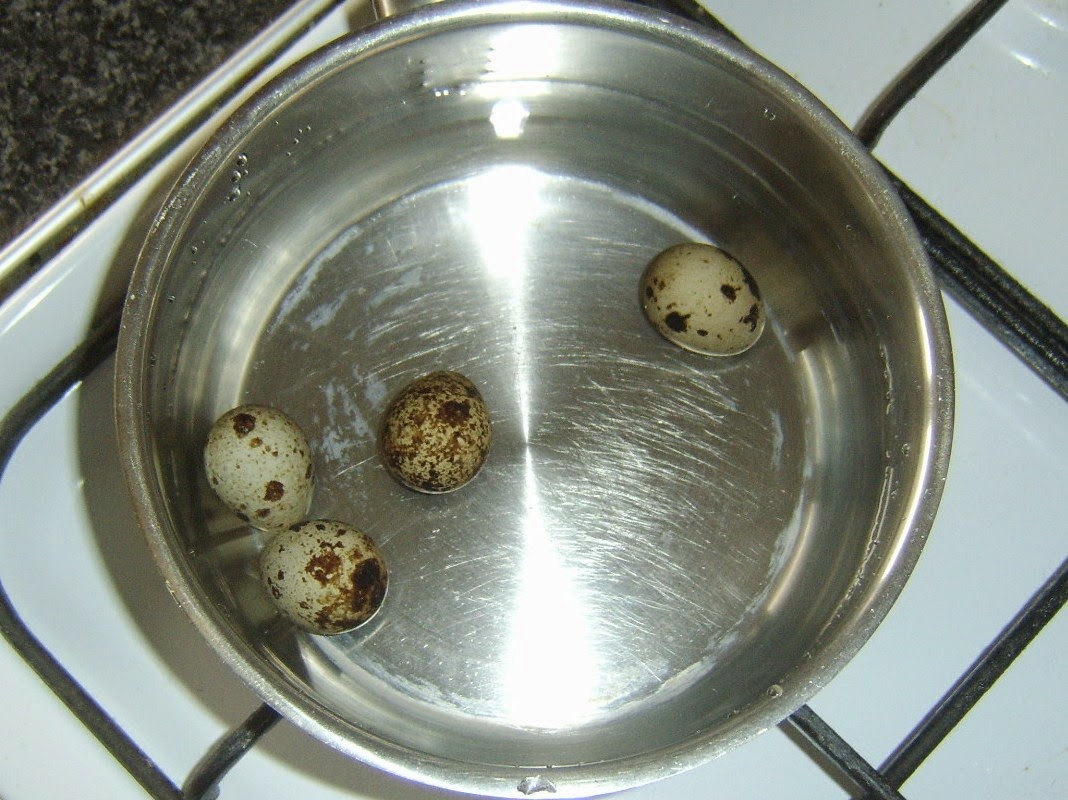 Modern Scottish Food and Recipes Cider Poached Scottish Salmon and Quail Eggs Salad