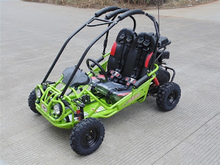 TRAILMASTER-MINI-XRXR-5.jpg