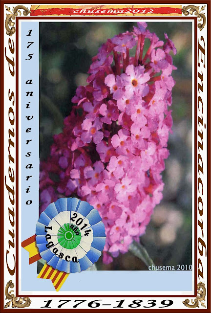 MISCELÁNEA TUROLENSE Junio2013/Miscelánea. MARIANO LAGASCA Y SEGURA