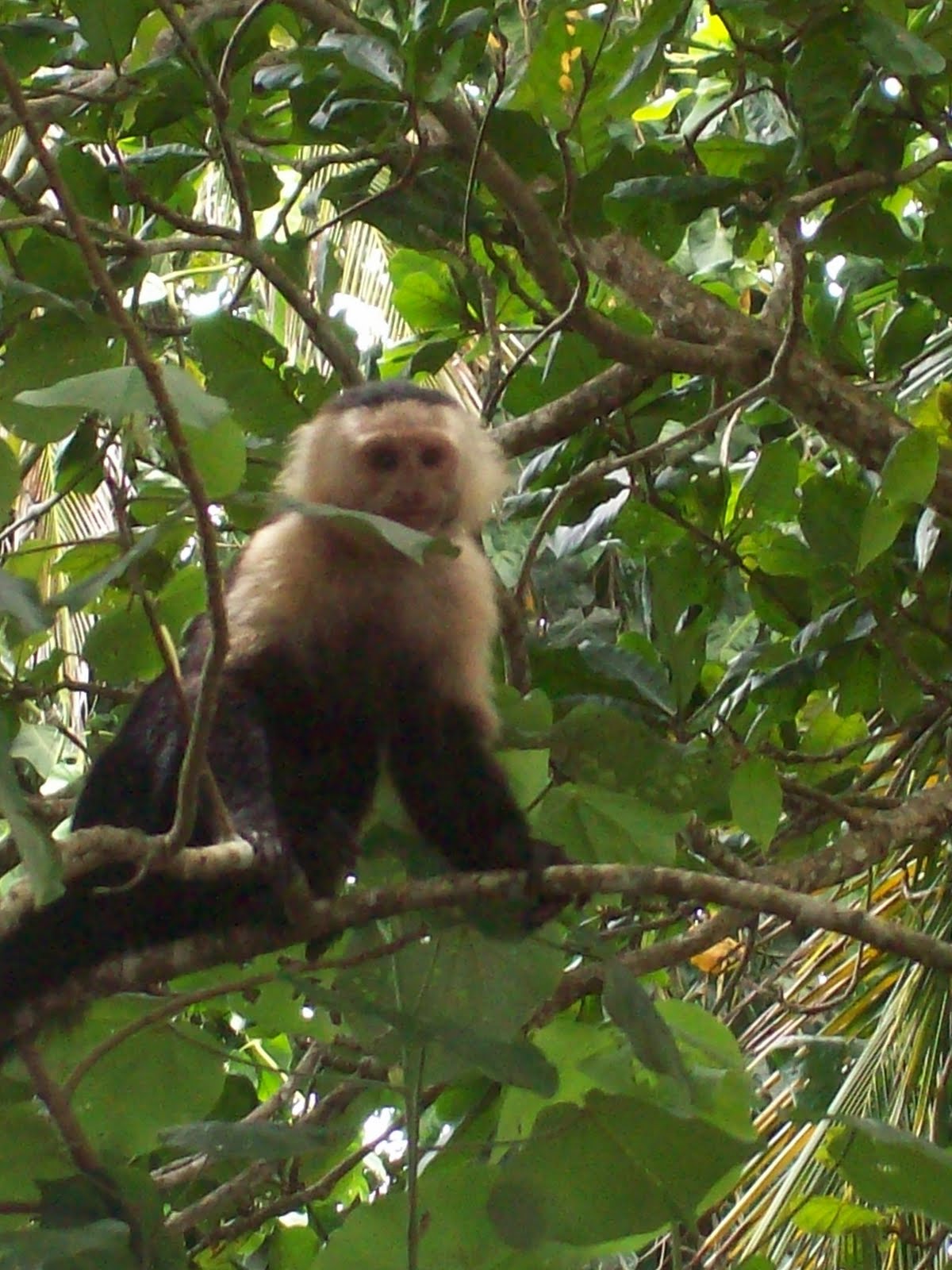 this is our travel blog.: Last 2 Weeks in Nicaragua, and a Quick Visit ...