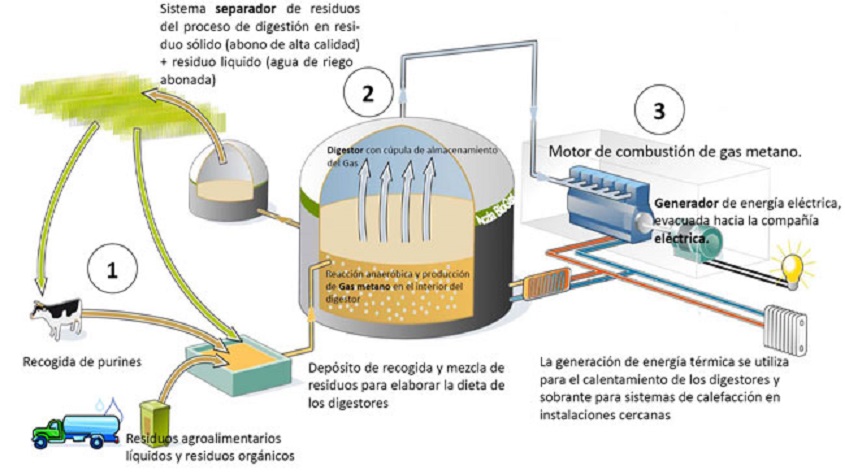 Generación del Biogas