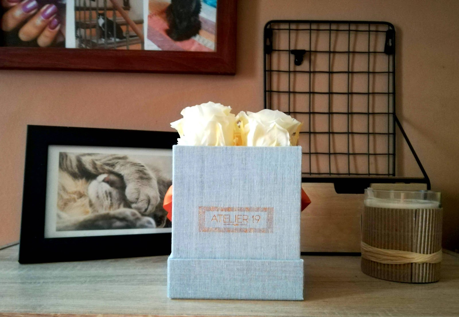 Epingle Par Ashima Sur Ashh Belle Rose Roses Rouges Fleurs