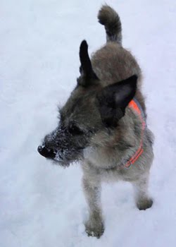 Hei! Minä olen Kaapo!