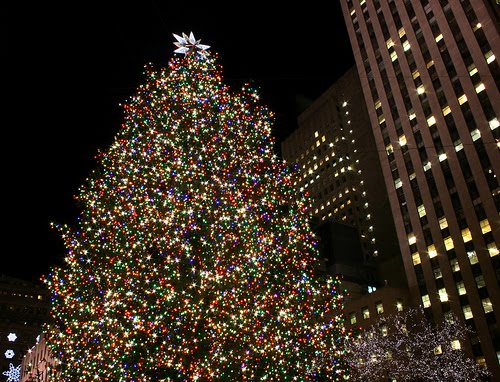 Rayakan Natal Tanpa Pohon Natal, Tokoh Agama Yahudi Larang Pemasangan Pohon Natal di Israel