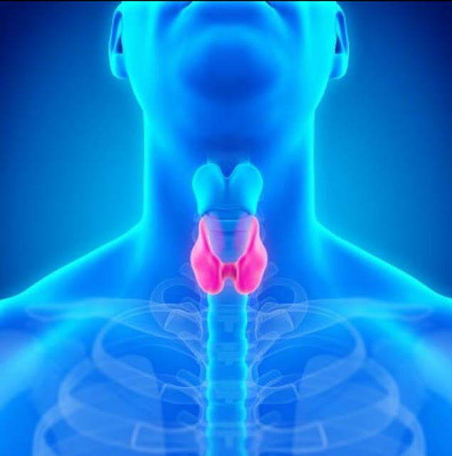 أهم اضطرابات الغدة الدرقية