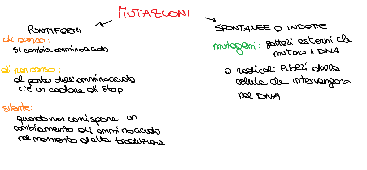 Mutazioni Esperia